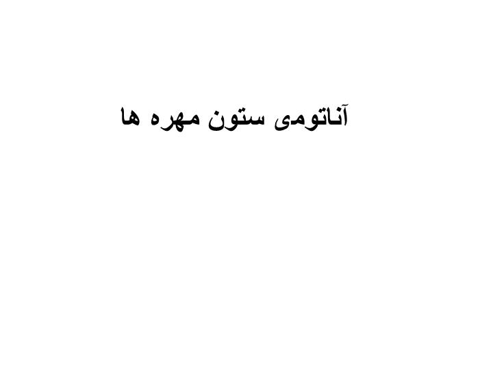 پاورپوینت آناتومی ستون مهره ها