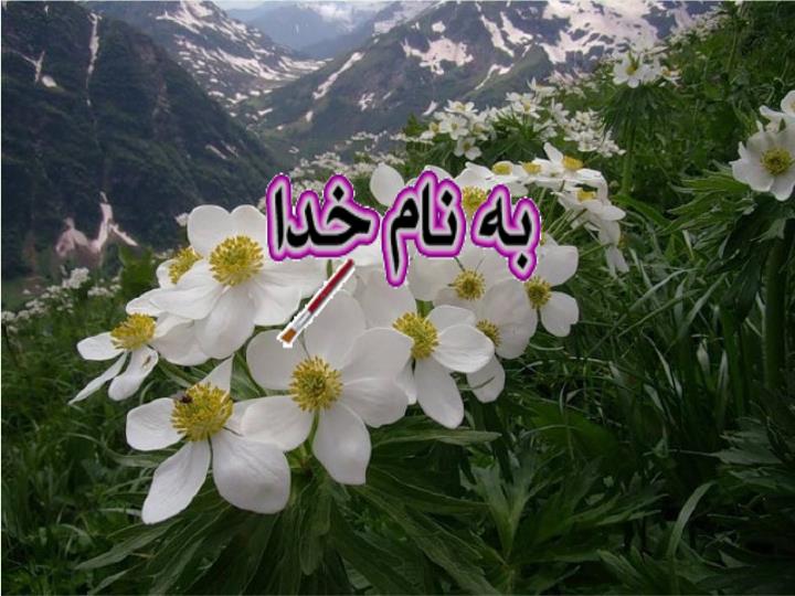 پاورپوینت ادبیات فارسی
