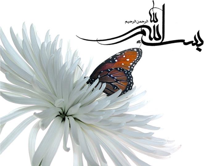 پاورپوینت بررسی و شناخت سیستم قلب و عروق