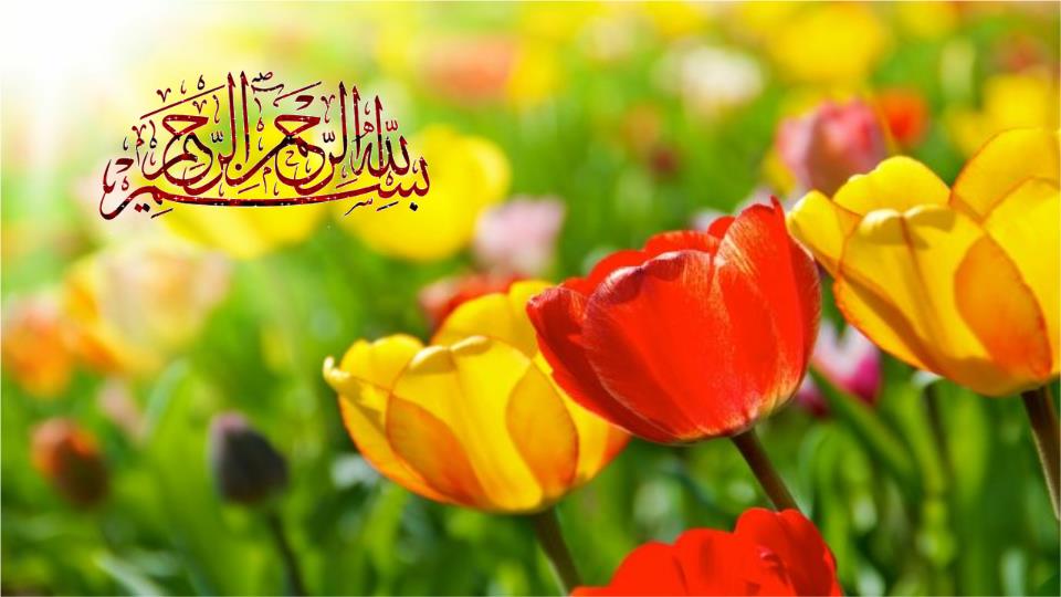 پاورپوینت تعاون