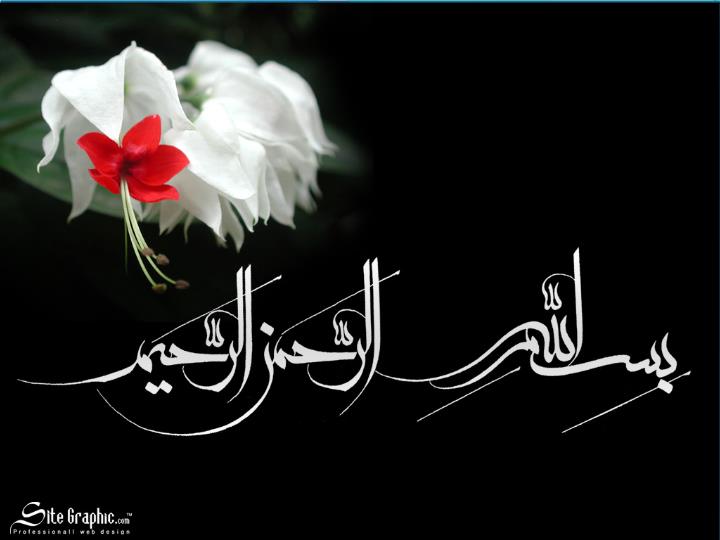 پاورپوینت جغرافیا ,محیط زیست و حیاط وحش ایران