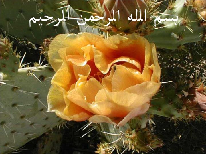 پاورپوینت آشنایی با آناتومی حرکتی